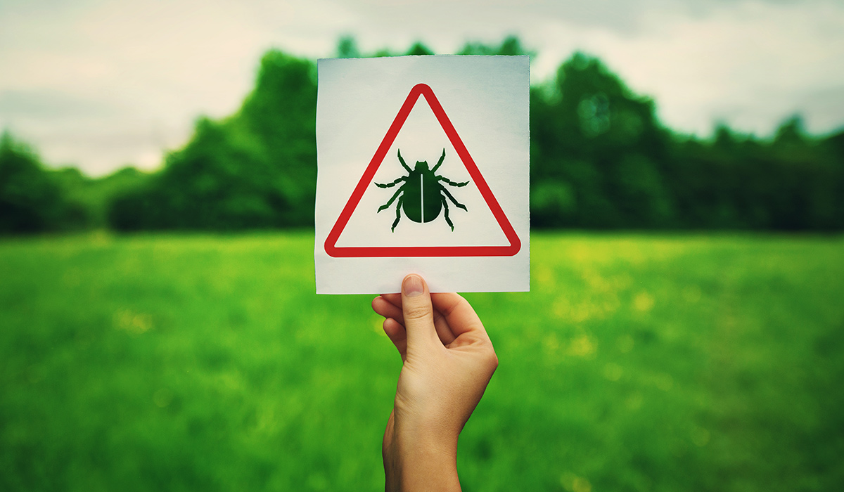 Lyme Disease