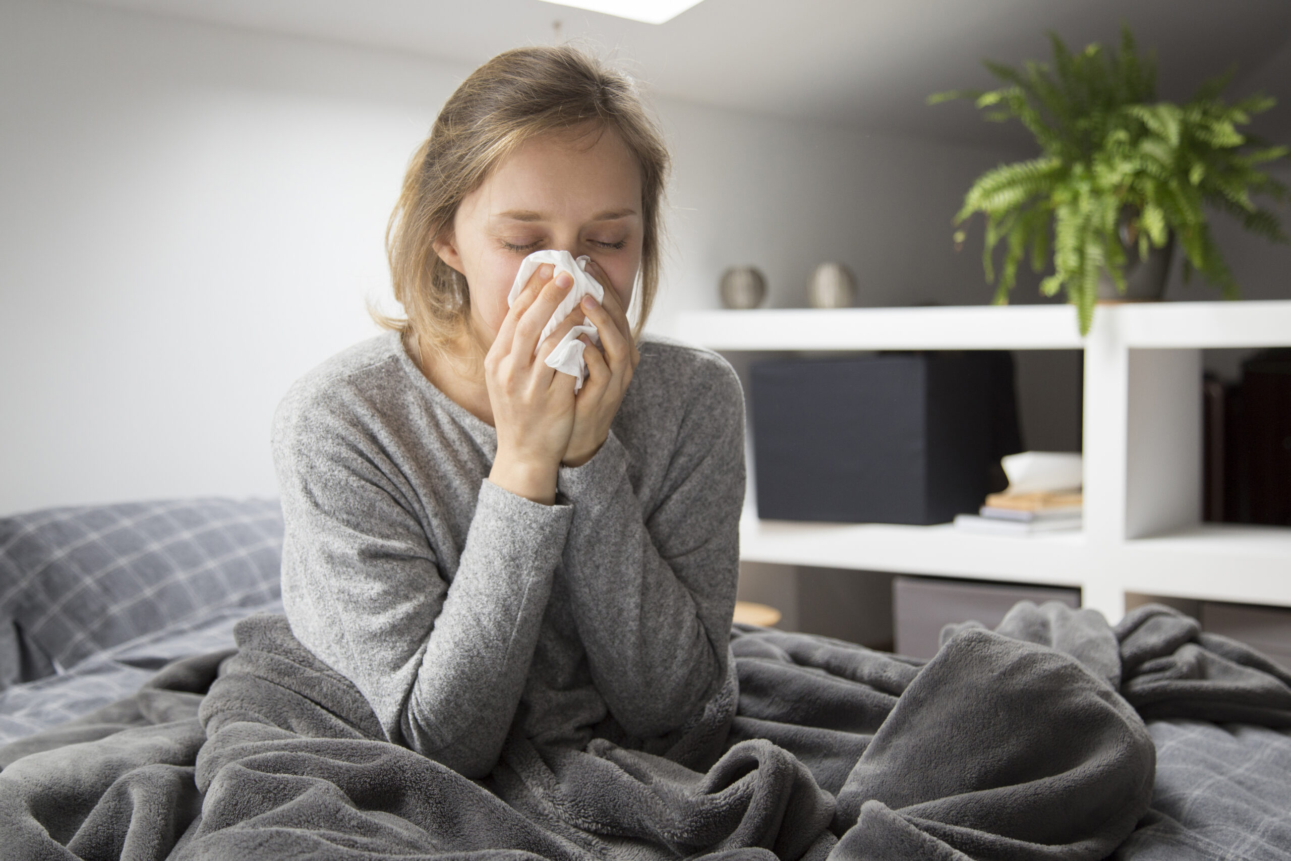Sick woman sitting in bed, blowing nose with napkin Sick woman sitting in bed, blowing nose with napkin