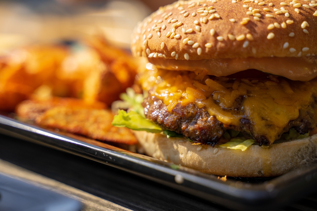 cholesterol-511560 cholesterol-511560