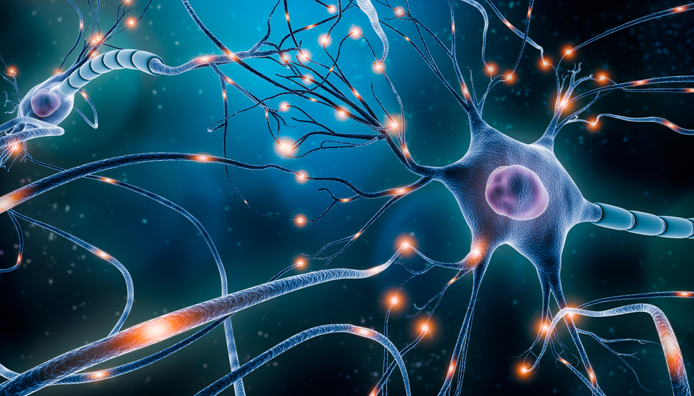Neuronal,Network,With,Electrical,Activity,Of,Neuron,Cells,3d,Rendering Neuronal,Network,With,Electrical,Activity,Of,Neuron,Cells,3d,Rendering