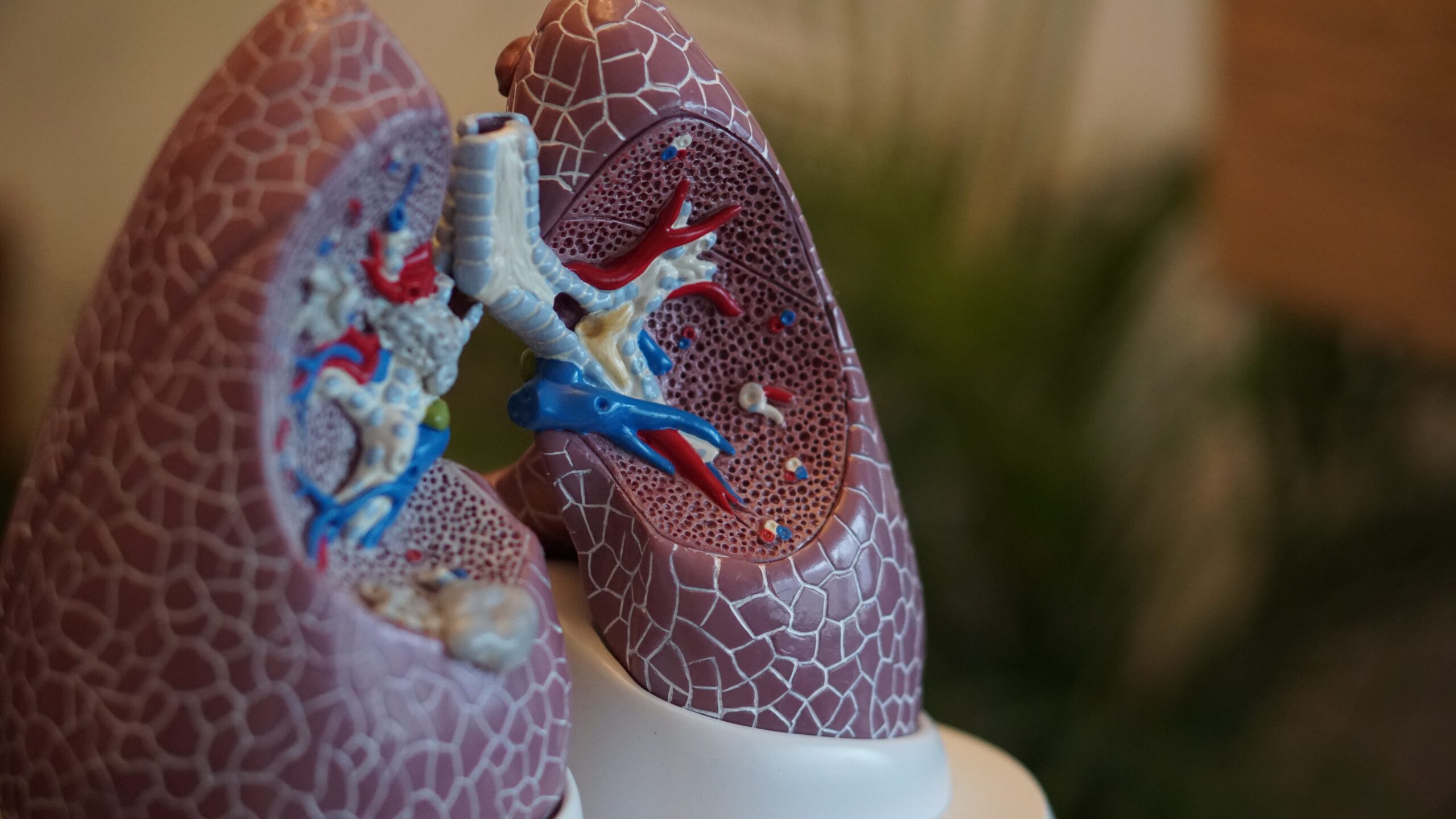 chronic-obstructive-pulmonary-disease-copd-what-is-symptoms-causes-and-treatment-943627 chronic-obstructive-pulmonary-disease-copd-what-is-symptoms-causes-and-treatment-943627