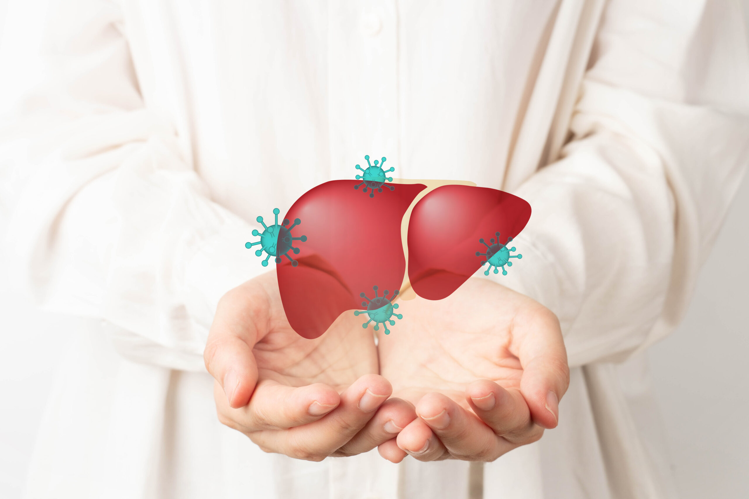 World,Hepatitis,Day,Concept.,Human,Hands,Holding,Liver,With,Viral World,Hepatitis,Day,Concept.,Human,Hands,Holding,Liver,With,Viral