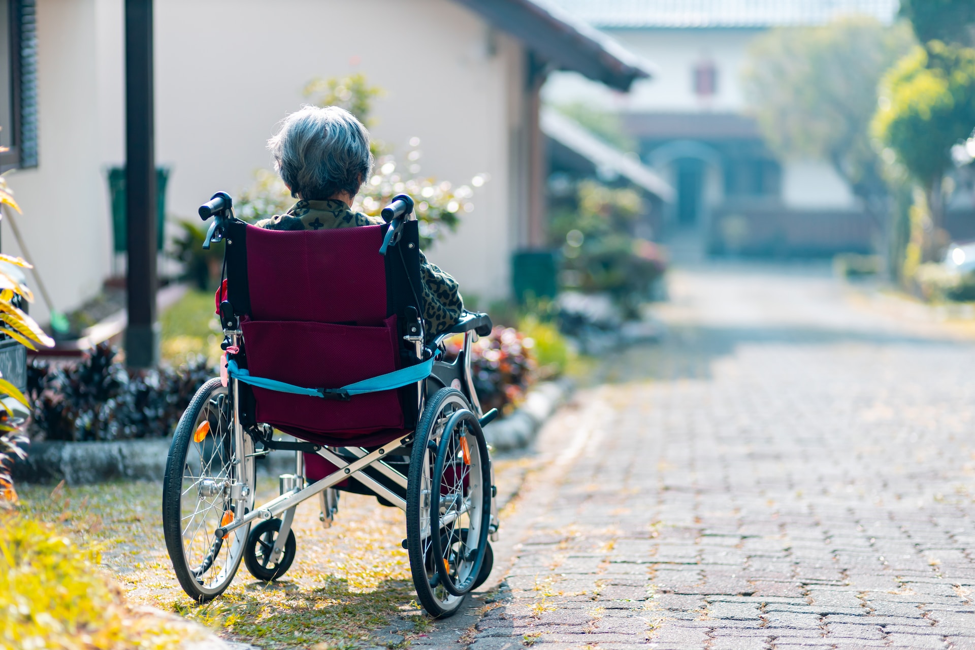 multiple-sclerosis-487437 multiple-sclerosis-487437