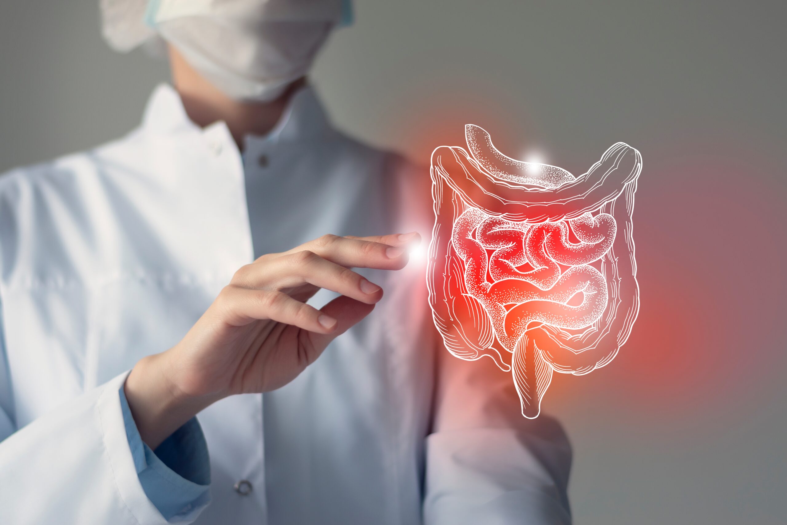 Female,Doctor,Holding,Virtual,Intestine,In,Hand.,Handrawn,Human,Organ, Female,Doctor,Holding,Virtual,Intestine,In,Hand.,Handrawn,Human,Organ,