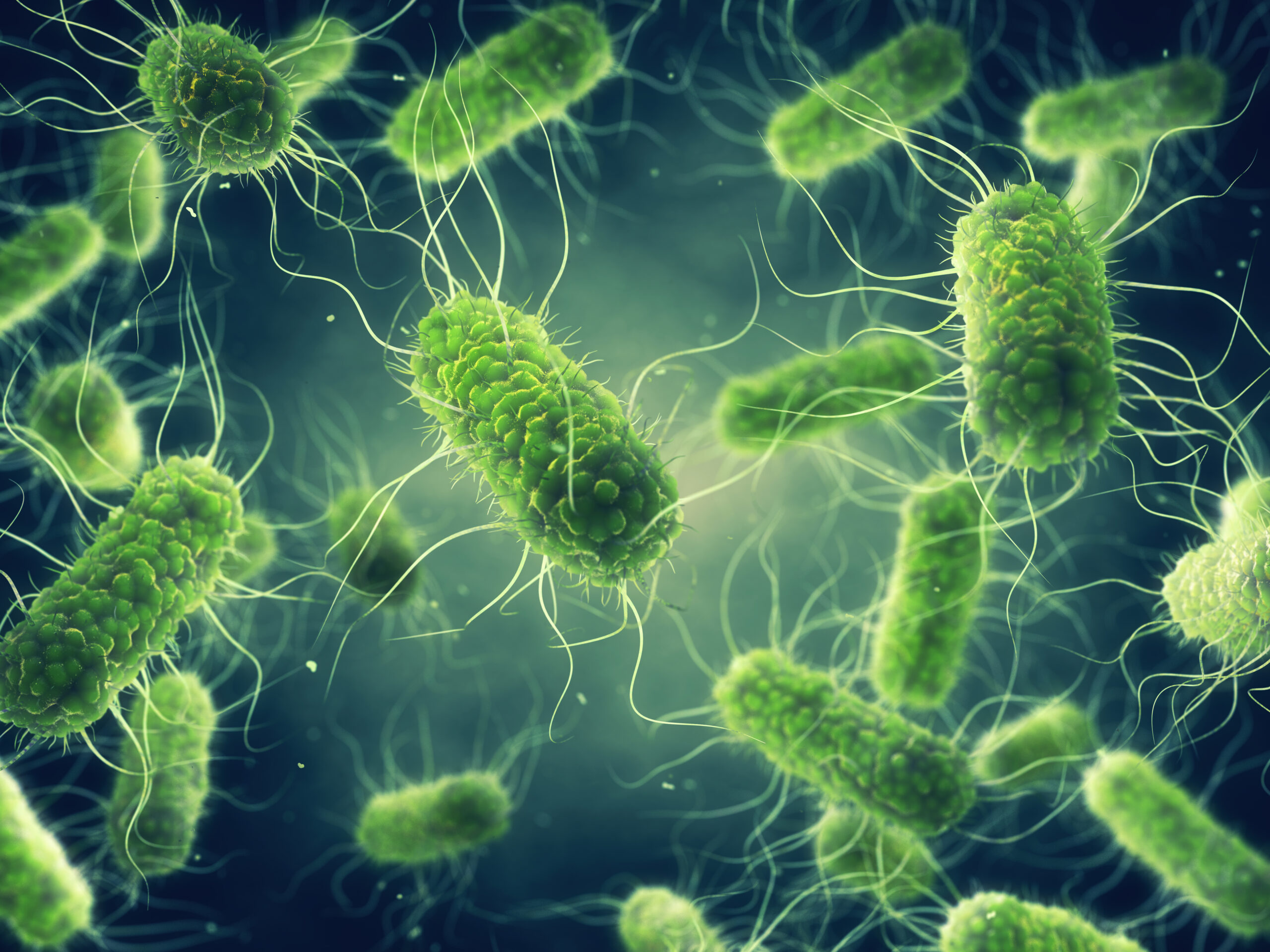 Pathogenic,Salmonella,Bacteria,Background,,Poor,Hygiene,Can,Spread,Salmonella,Infection, Pathogenic,Salmonella,Bacteria,Background,,Poor,Hygiene,Can,Spread,Salmonella,Infection,