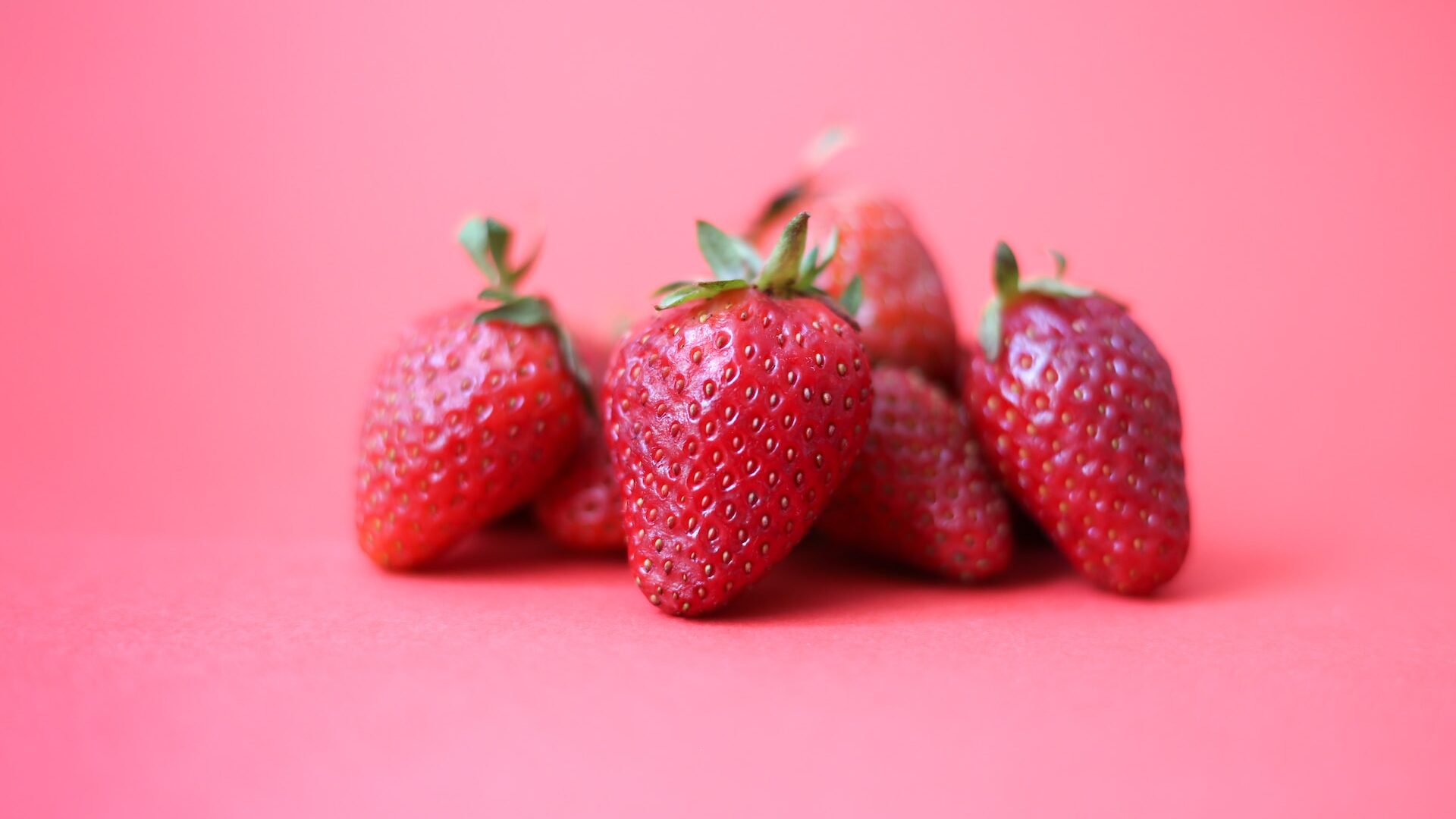 strawberry-what-is-can-dog-eat-types-growing-and-more-053475 strawberry-what-is-can-dog-eat-types-growing-and-more-053475