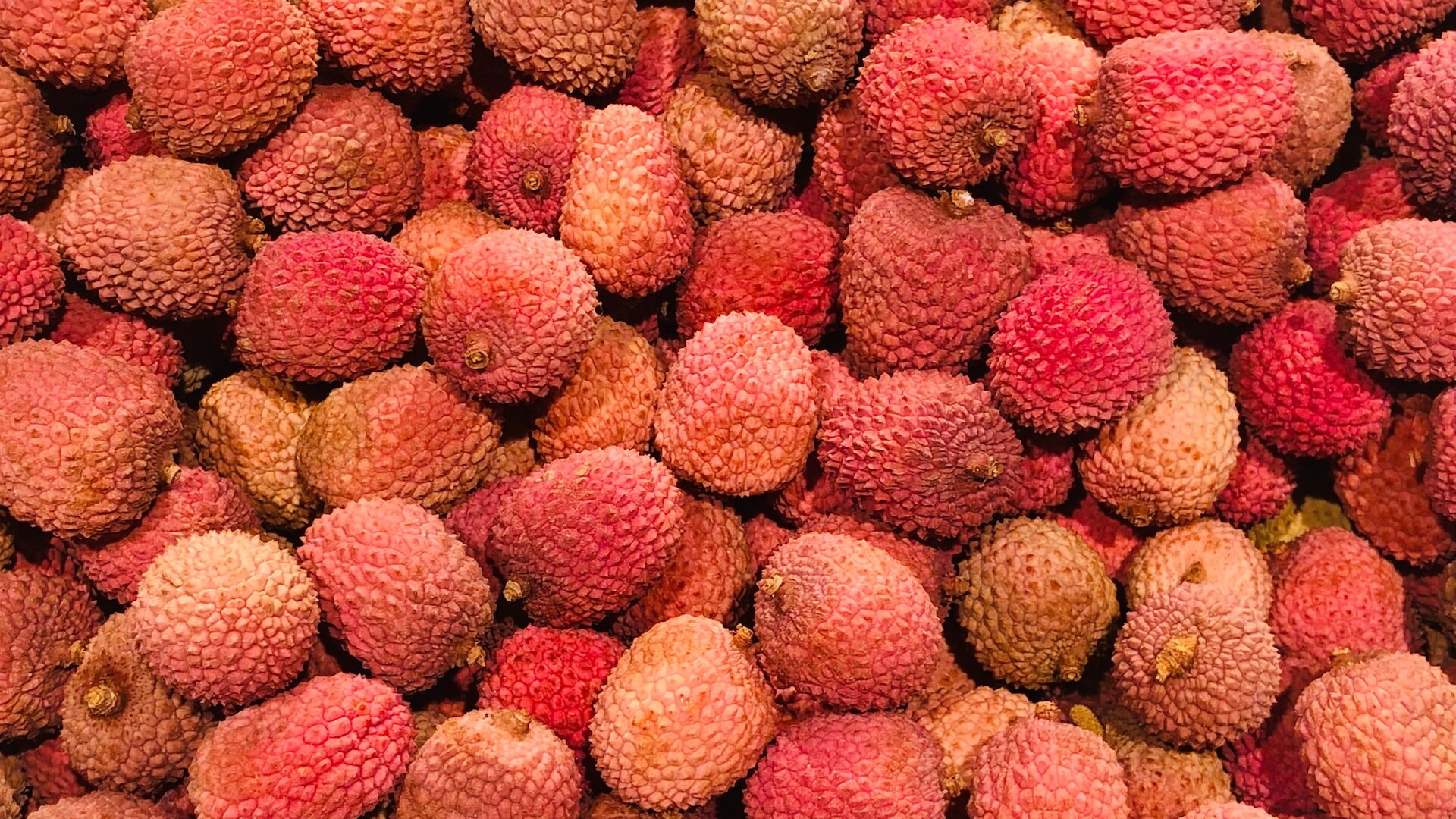 lychee-what-is-can-dog-eat-pronunciation-and-more-507705 lychee-what-is-can-dog-eat-pronunciation-and-more-507705