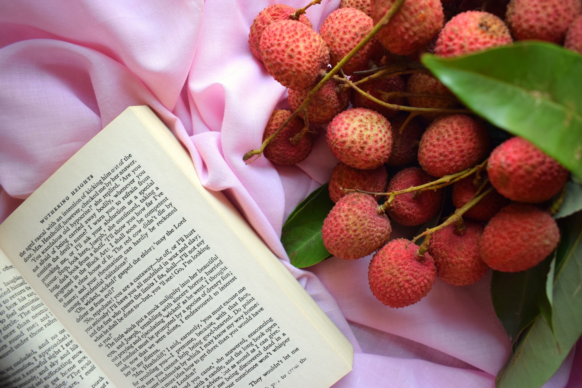 lychee-what-is-can-dog-eat-pronunciation-and-more-060400 lychee-what-is-can-dog-eat-pronunciation-and-more-060400