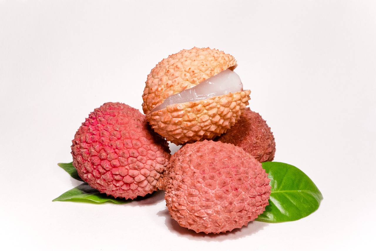 lychee-what-is-can-dog-eat-pronunciation-and-more-503259 lychee-what-is-can-dog-eat-pronunciation-and-more-503259