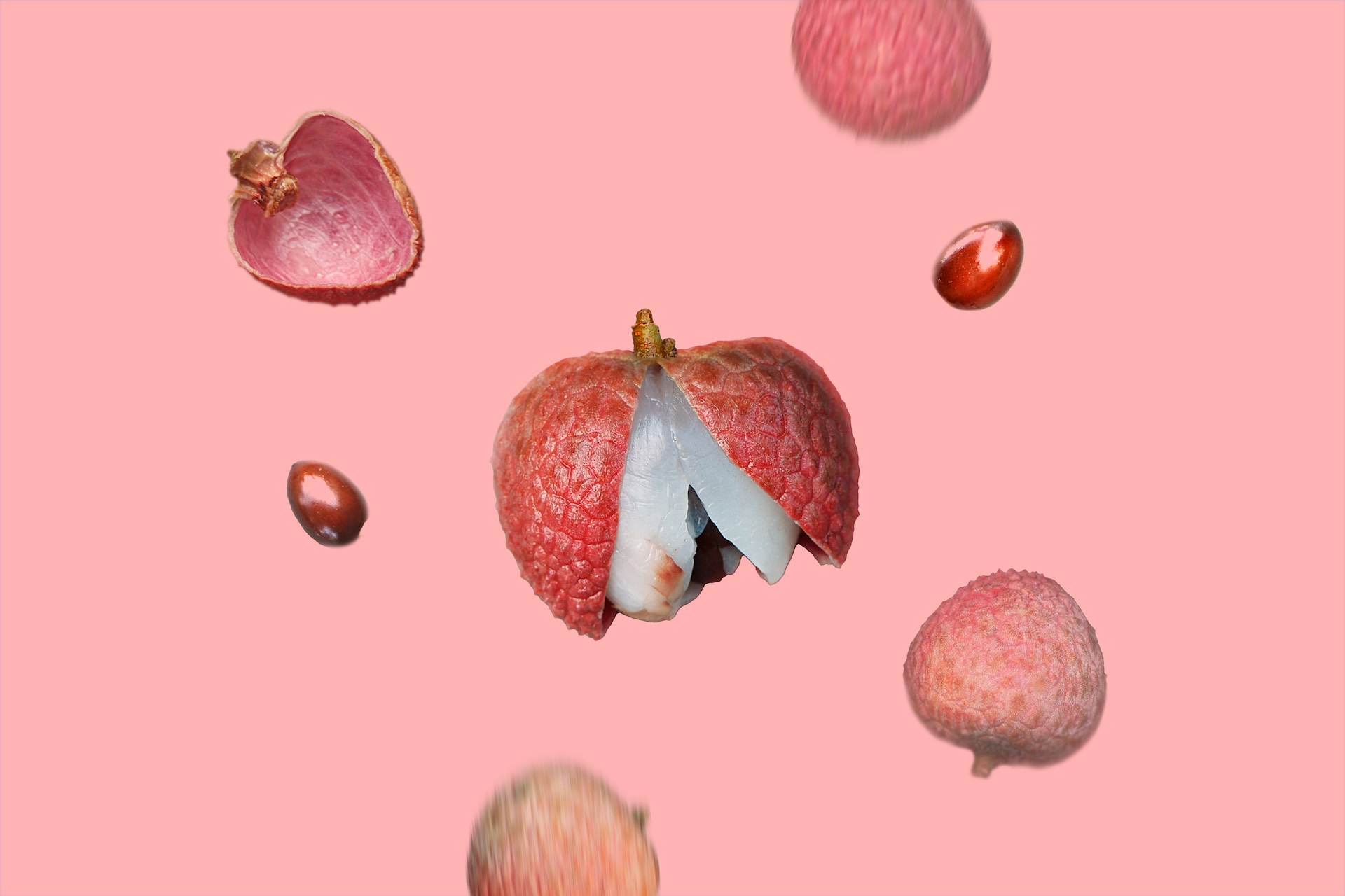 lychee-what-is-can-dog-eat-pronunciation-and-more-519853