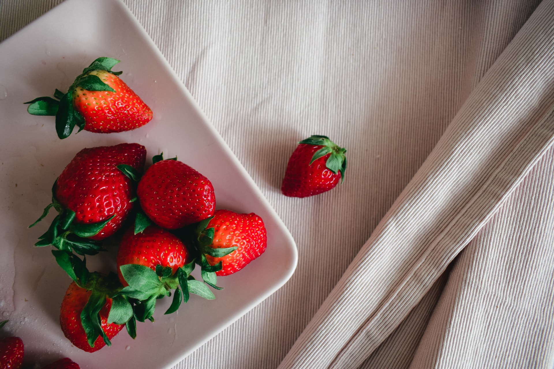 strawberry-what-is-can-dog-eat-types-growing-and-more-386711 strawberry-what-is-can-dog-eat-types-growing-and-more-386711