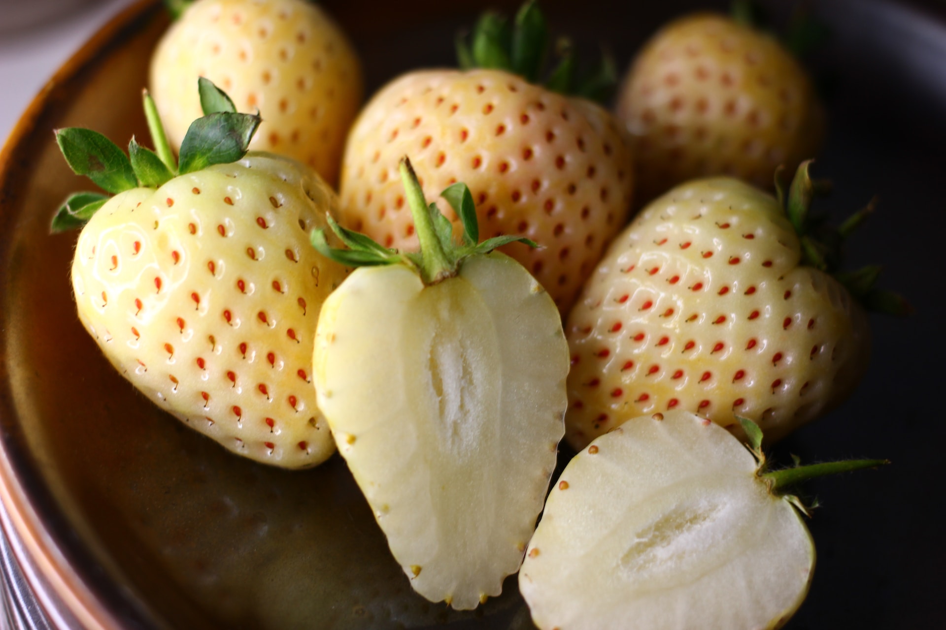 strawberry-what-is-can-dog-eat-types-growing-and-more-644432 strawberry-what-is-can-dog-eat-types-growing-and-more-644432