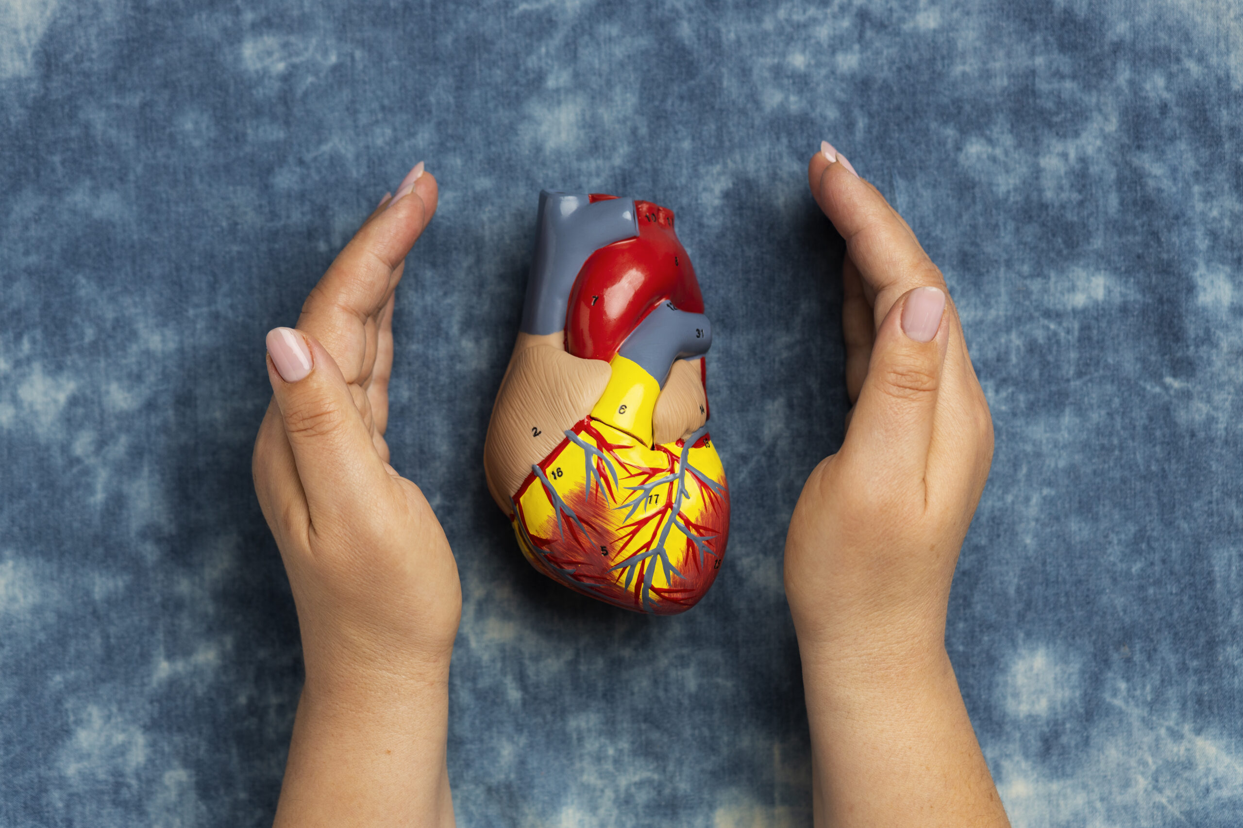 atherosclerosis-what-is-symptoms-causes-amp-complications-987211 atherosclerosis-what-is-symptoms-causes-amp-complications-987211