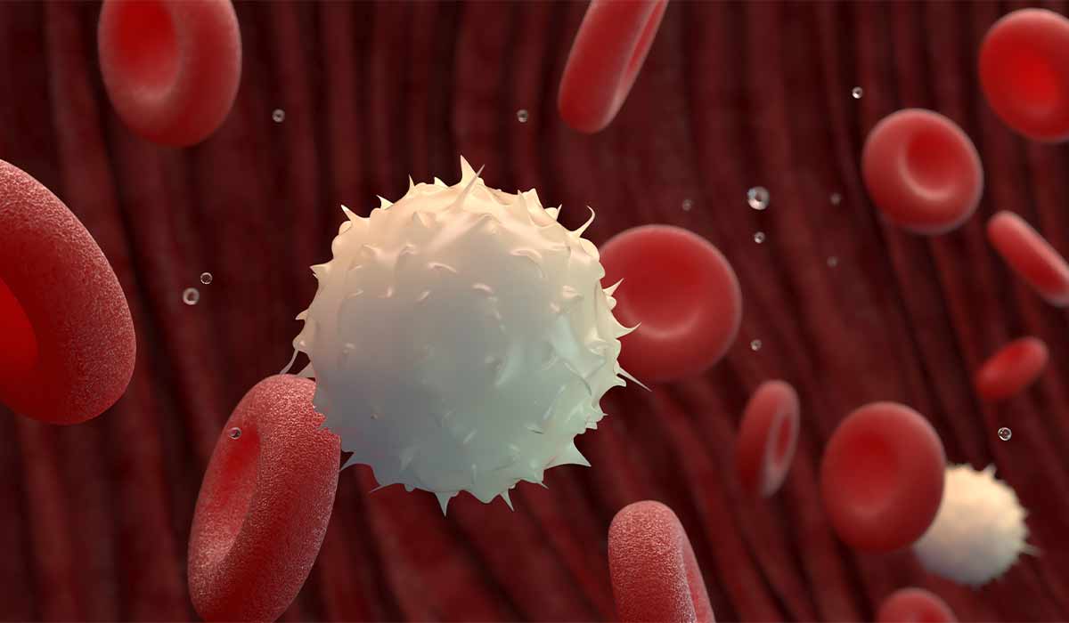 Autoimmune Disease