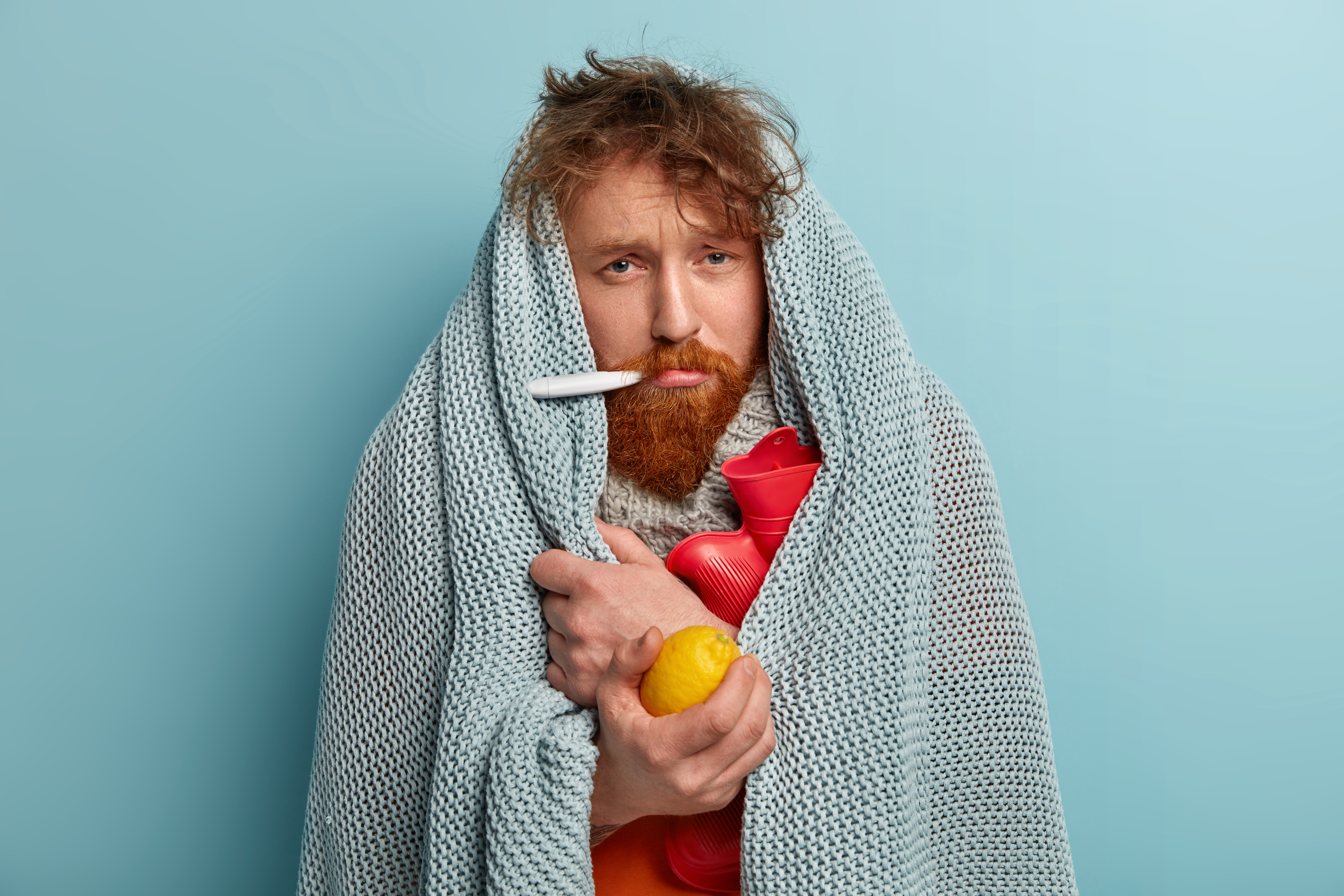 Redhead young man with bristle fights against flu and fever, holds lemon to enrich vitamins, has thermometer in mouth, trembles under blanket, isolated over blue background. Health problems. Redhead young man with bristle fights against flu and fever, holds lemon to enrich vitamins, has thermometer in mouth, trembles under blanket, isolated over blue background. Health problems.
