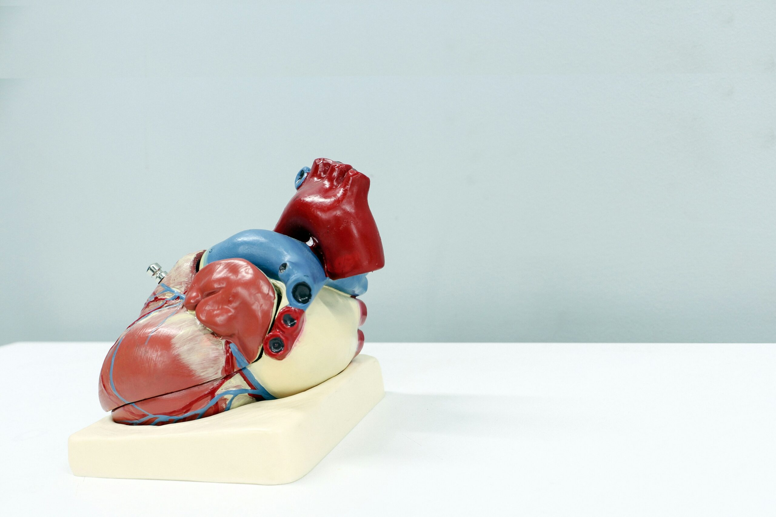 pericarditis-what-is-types-causes-treatment-and-prevention-182748 pericarditis-what-is-types-causes-treatment-and-prevention-182748