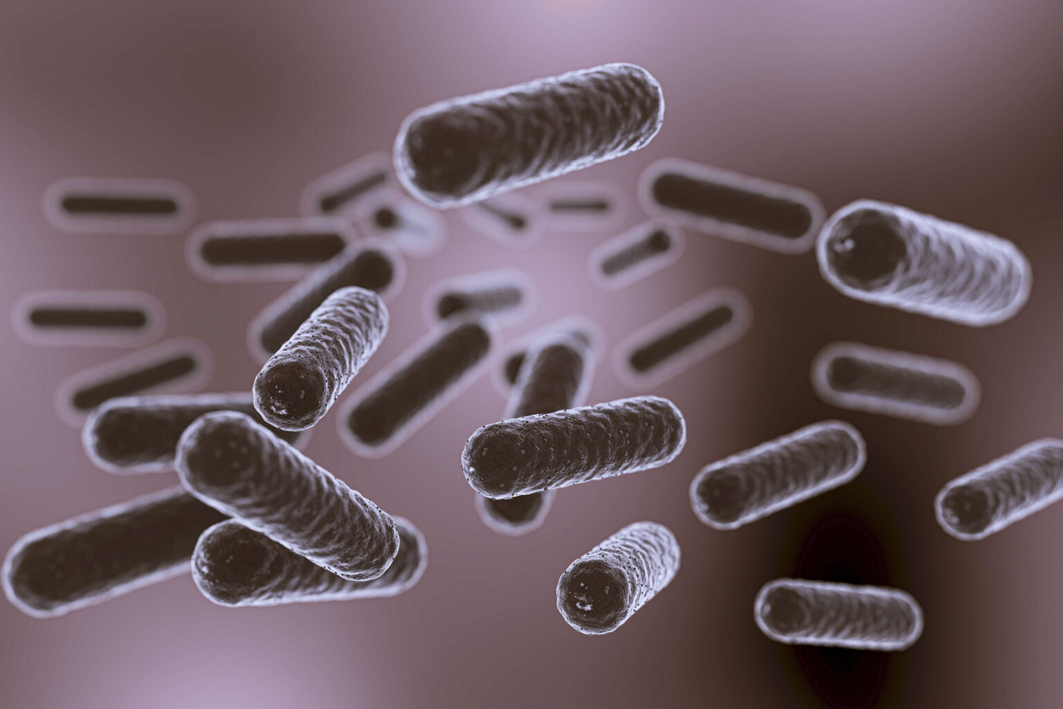 3D microorganisms 3D microorganisms