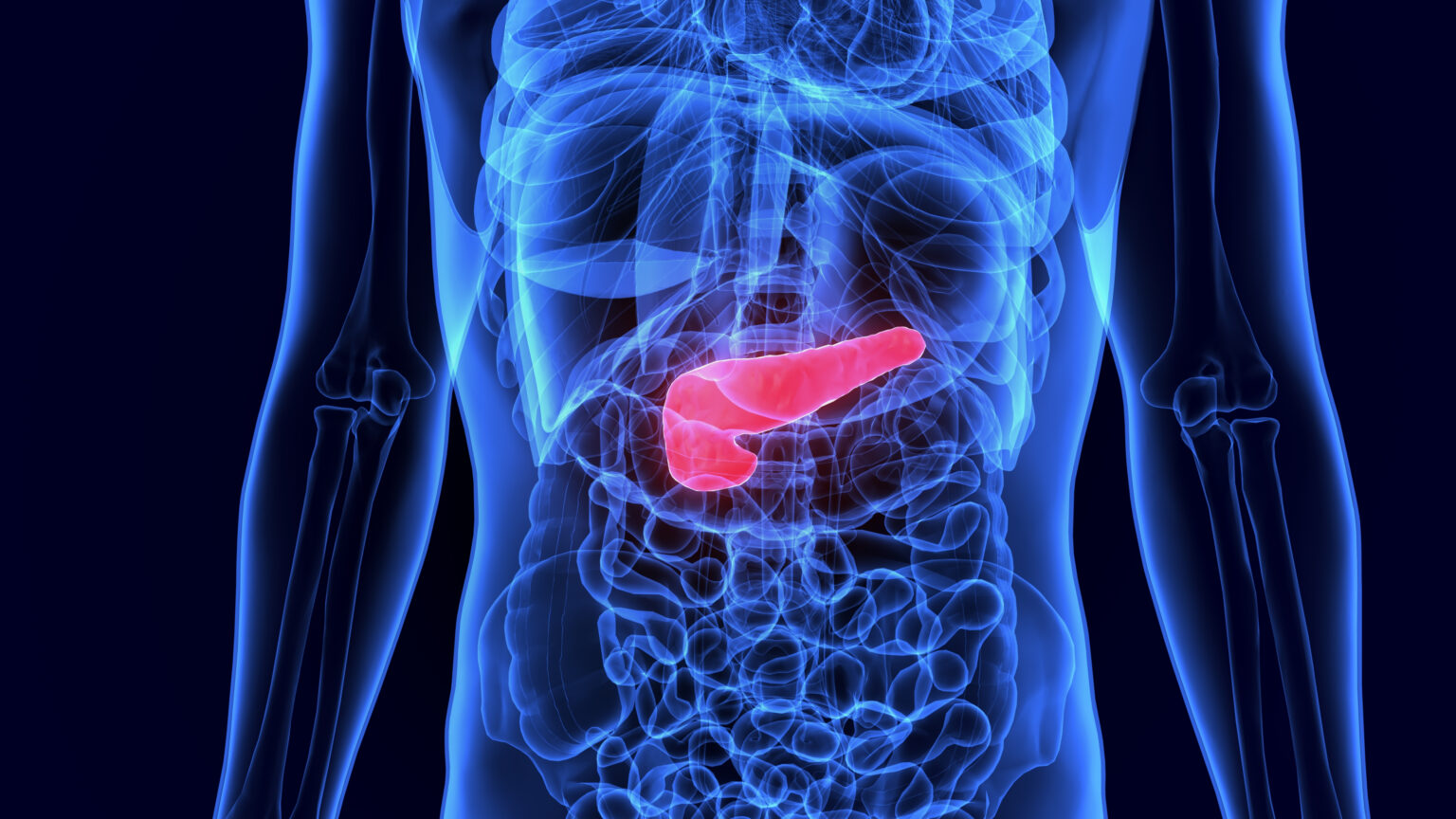 Human,Gallbladder,And,Pancreas,Anatomy,Illustration.,3d,Render Human,Gallbladder,And,Pancreas,Anatomy,Illustration.,3d,Render
