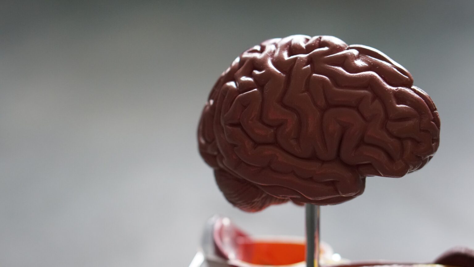 glioblastoma-what-is-causes-and-signs-179327 glioblastoma-what-is-causes-and-signs-179327