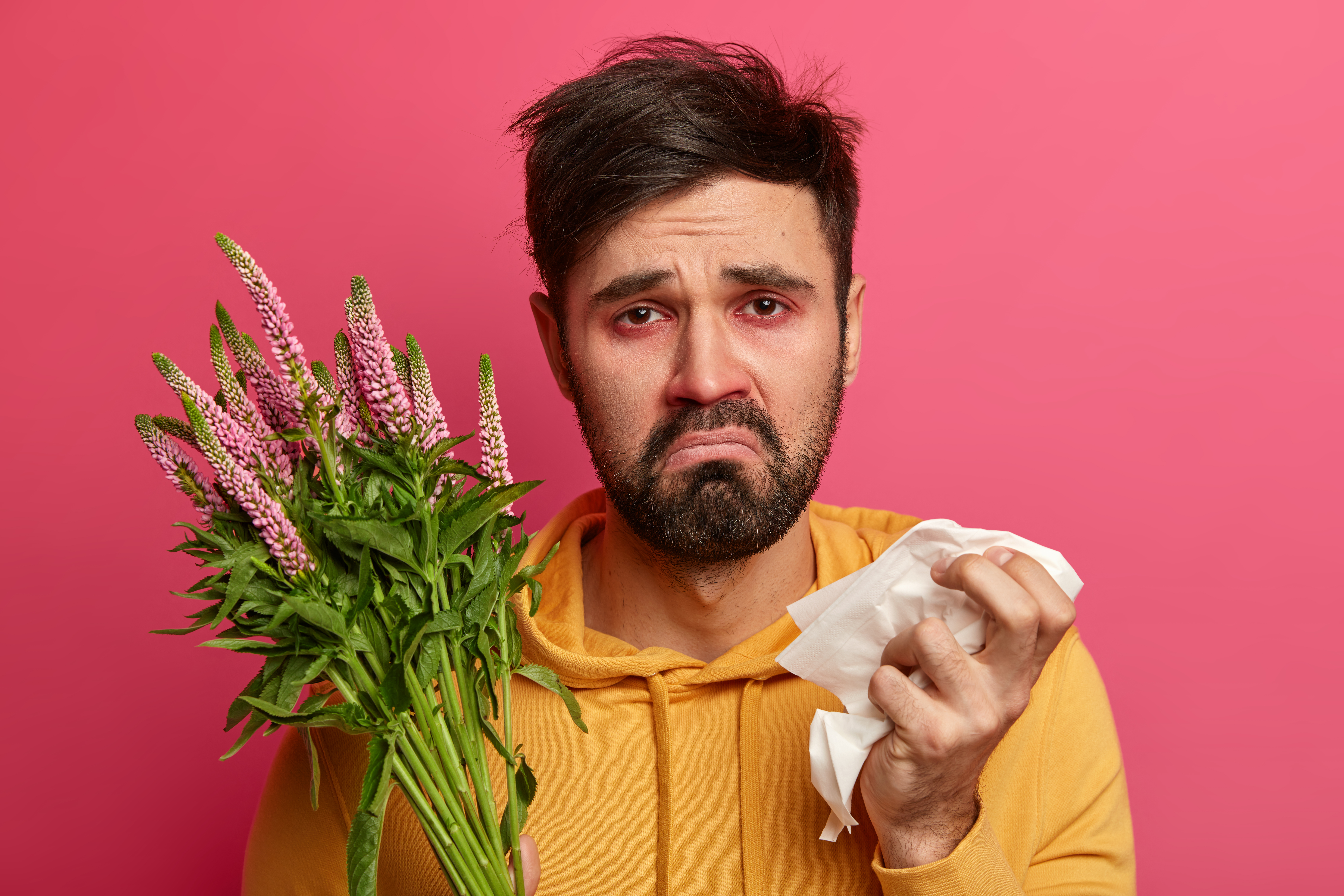 Sick young man blows nose and uses paper tissue, has allergy to blooming plant, feels unwell, suffers from sneezing, looks with unhappy face, needs medicine to cure disease. Health and treatment Sick young man blows nose and uses paper tissue, has allergy to blooming plant, feels unwell, suffers from sneezing, looks with unhappy face, needs medicine to cure disease. Health and treatment