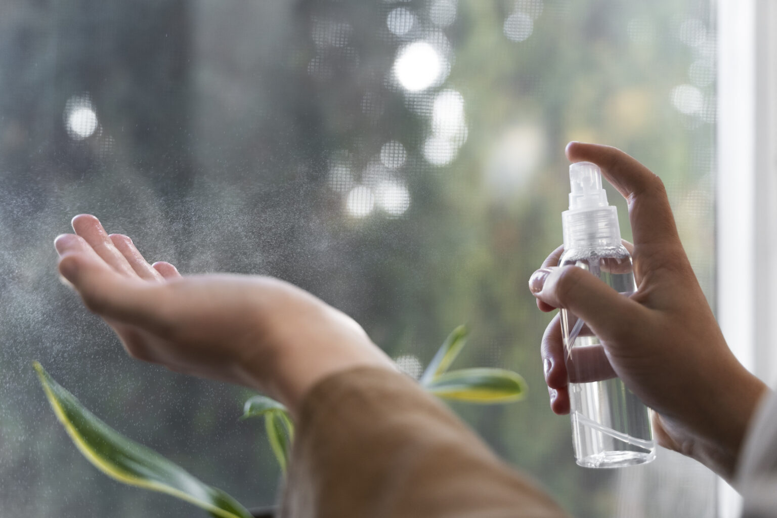 mosquito-bites-what-are-symptoms-treatment-amp-prevention-562597 mosquito-bites-what-are-symptoms-treatment-amp-prevention-562597