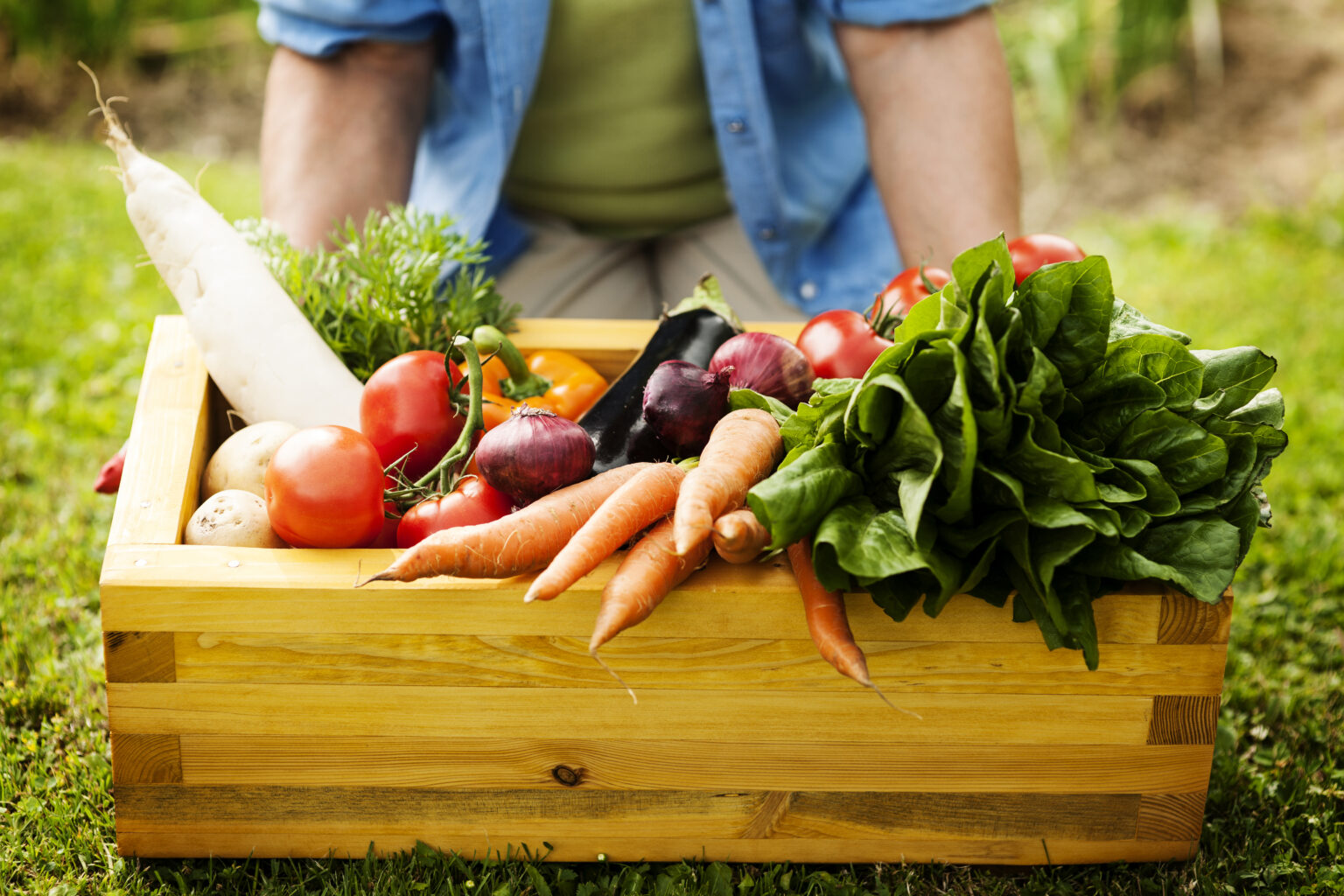 Wooden box filled fresh vegetables Wooden box filled fresh vegetables