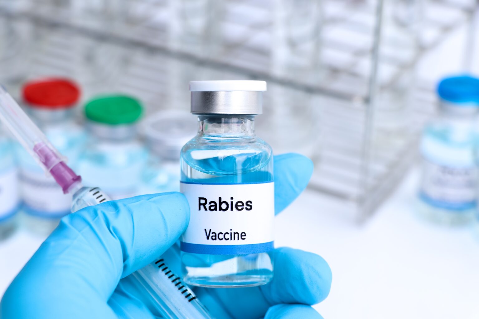 Rabies,Vaccine,In,A,Vial,,Immunization,And,Treatment,Of,Infection, Rabies,Vaccine,In,A,Vial,,Immunization,And,Treatment,Of,Infection,