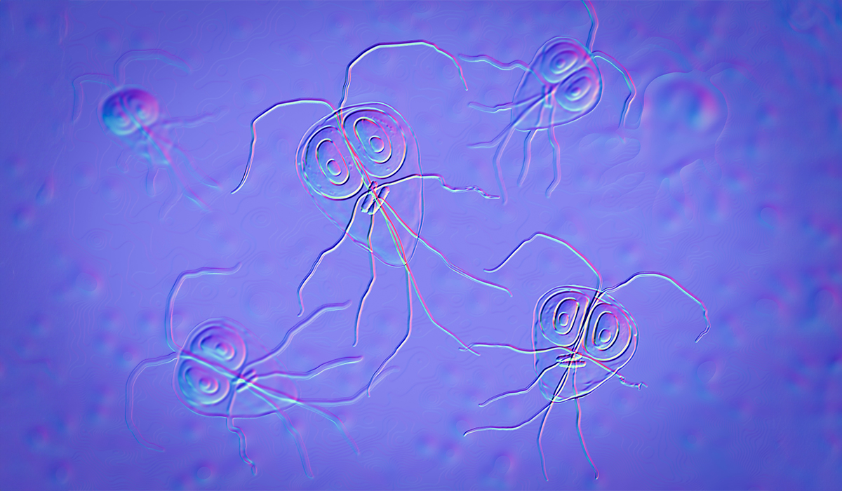 Giardia