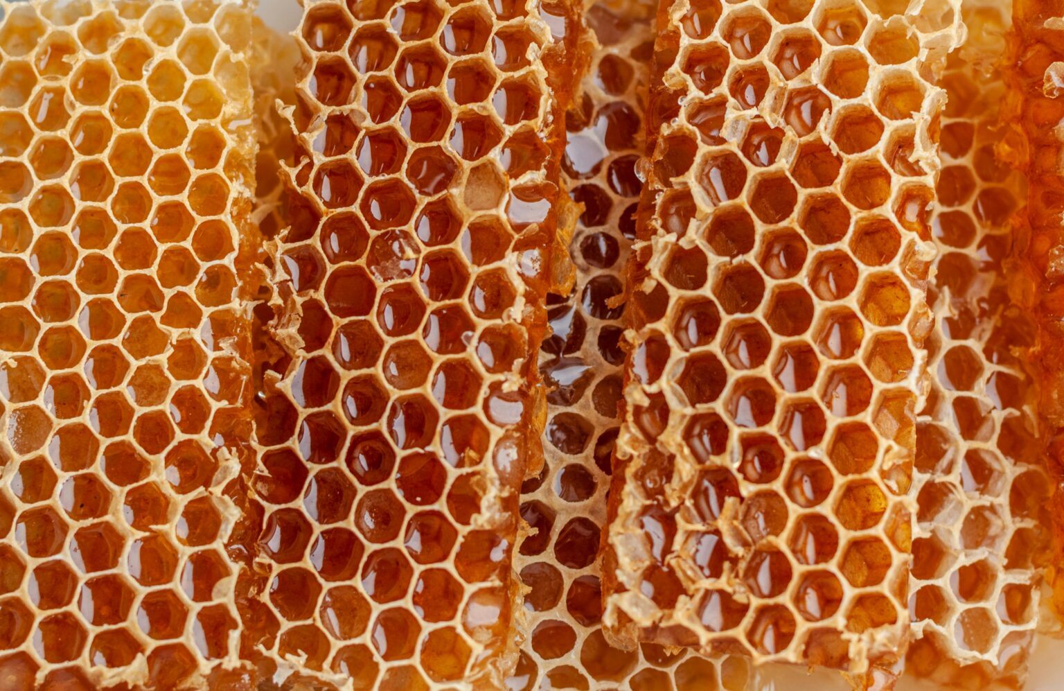 honey-what-is-nutritional-value-health-benefits-uses-and-more-090772