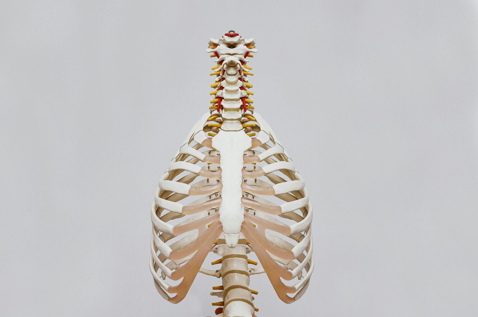 spondylosis-what-is-causes-types-symptoms-and-diagnosis-547669 spondylosis-what-is-causes-types-symptoms-and-diagnosis-547669