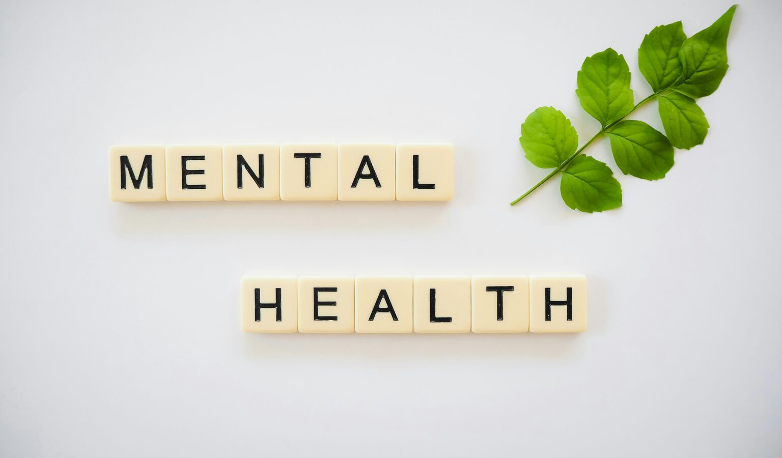 dysmorphia-what-is-body-image-causes-symptoms-and-other-disorders-003472