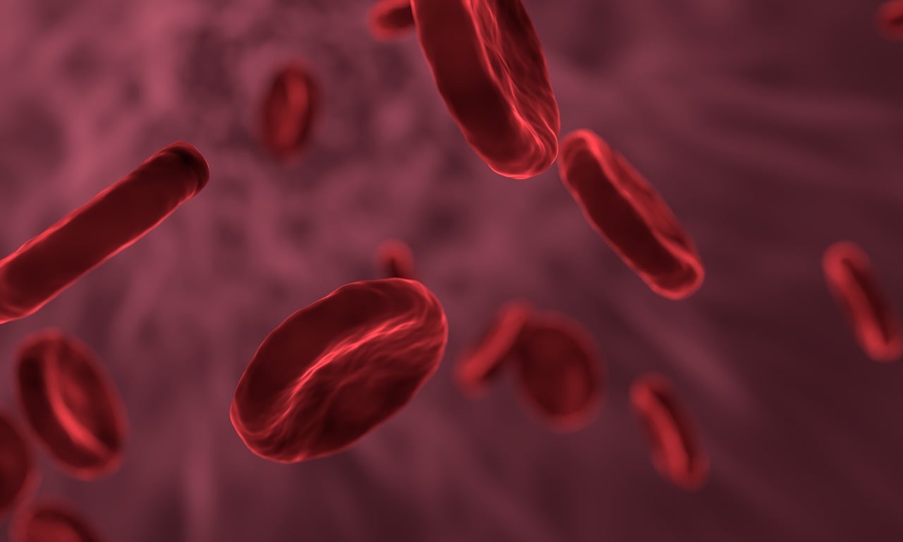 hemoglobin-what-is-levels-causes-and-symtpoms-014202 hemoglobin-what-is-levels-causes-and-symtpoms-014202