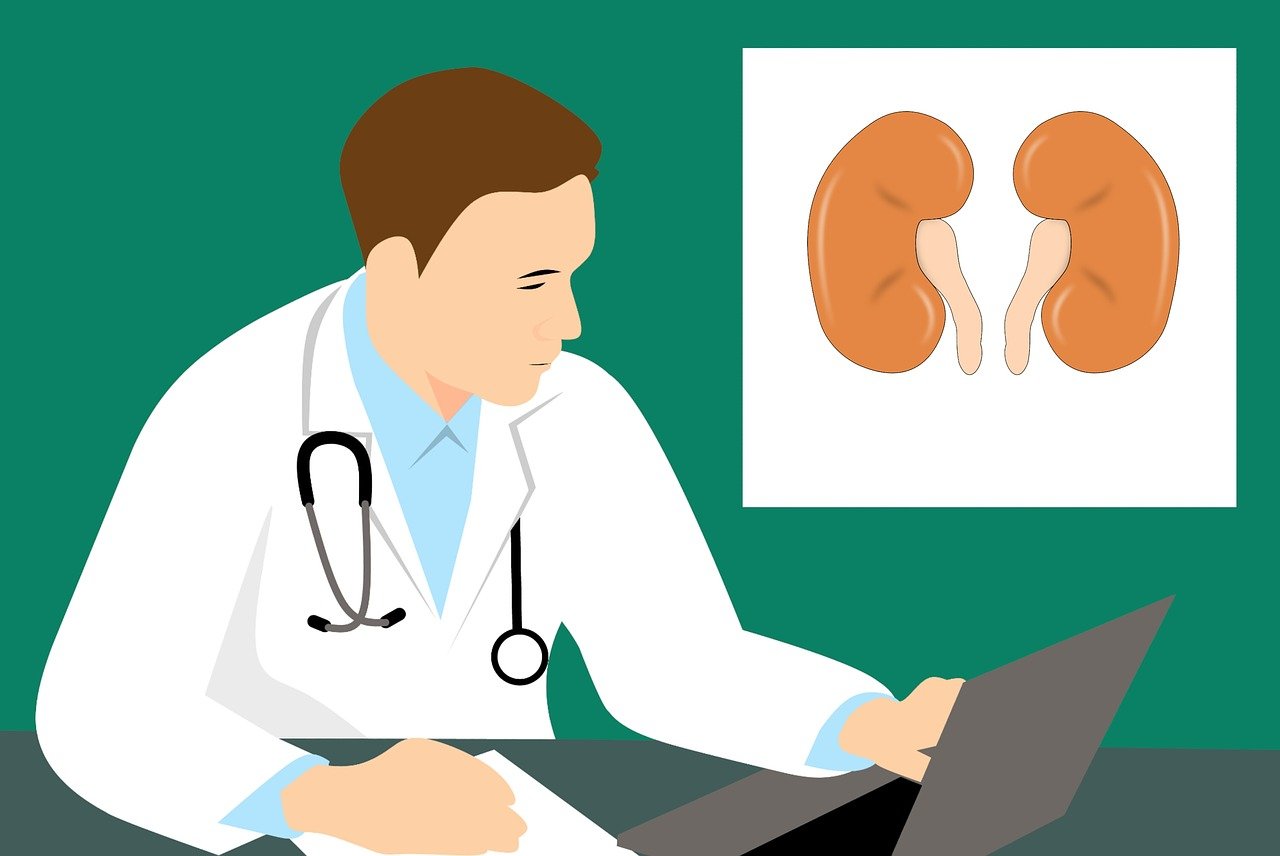 hemoglobin-what-is-levels-causes-and-symtpoms-365284 hemoglobin-what-is-levels-causes-and-symtpoms-365284