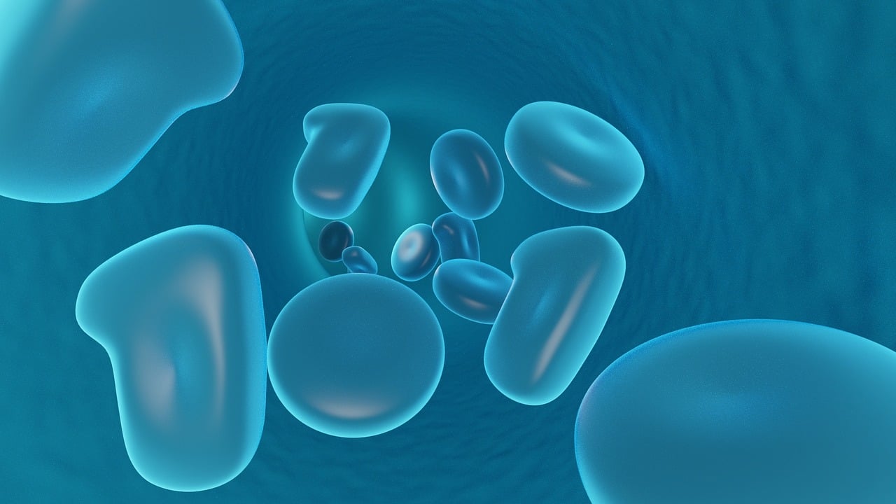 hemoglobin-what-is-levels-causes-and-symtpoms-420401 hemoglobin-what-is-levels-causes-and-symtpoms-420401