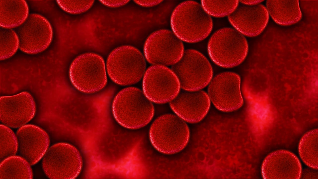 hemoglobin-what-is-levels-causes-and-symtpoms-679279 hemoglobin-what-is-levels-causes-and-symtpoms-679279