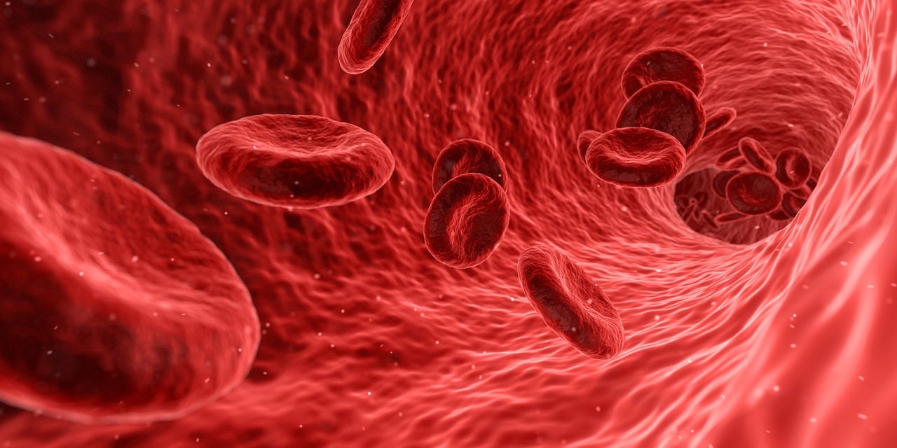 hemoglobin-what-is-levels-causes-and-symtpoms-962270 hemoglobin-what-is-levels-causes-and-symtpoms-962270