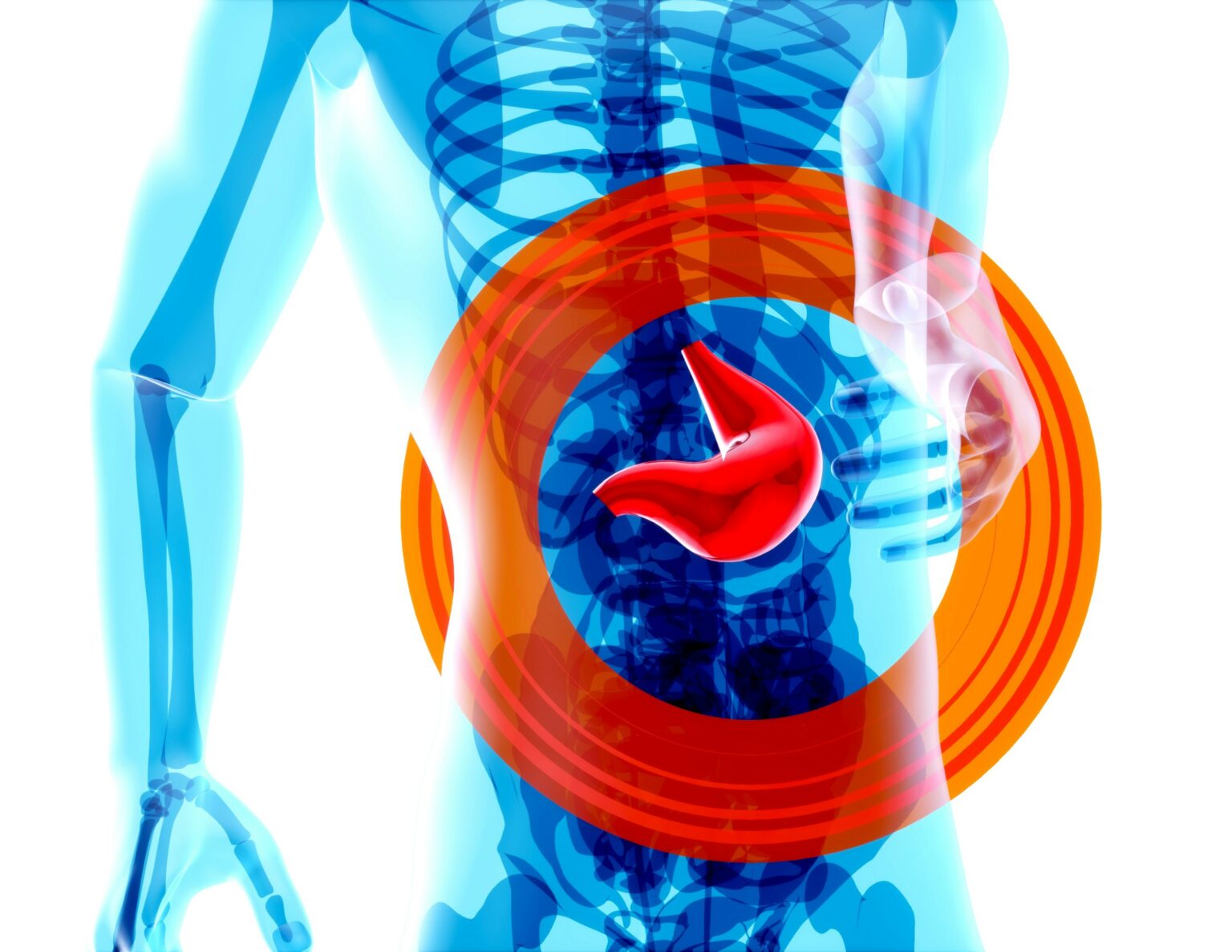 bile-what-is-how-it-works-conditions-risk-factors-and-treatment-209274 bile-what-is-how-it-works-conditions-risk-factors-and-treatment-209274