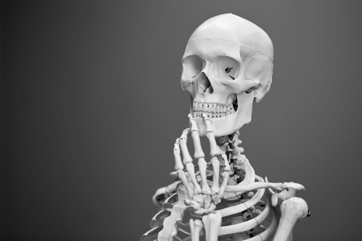 bone-cancer-what-is-types-symptoms-treatment-and-prognosis-515762