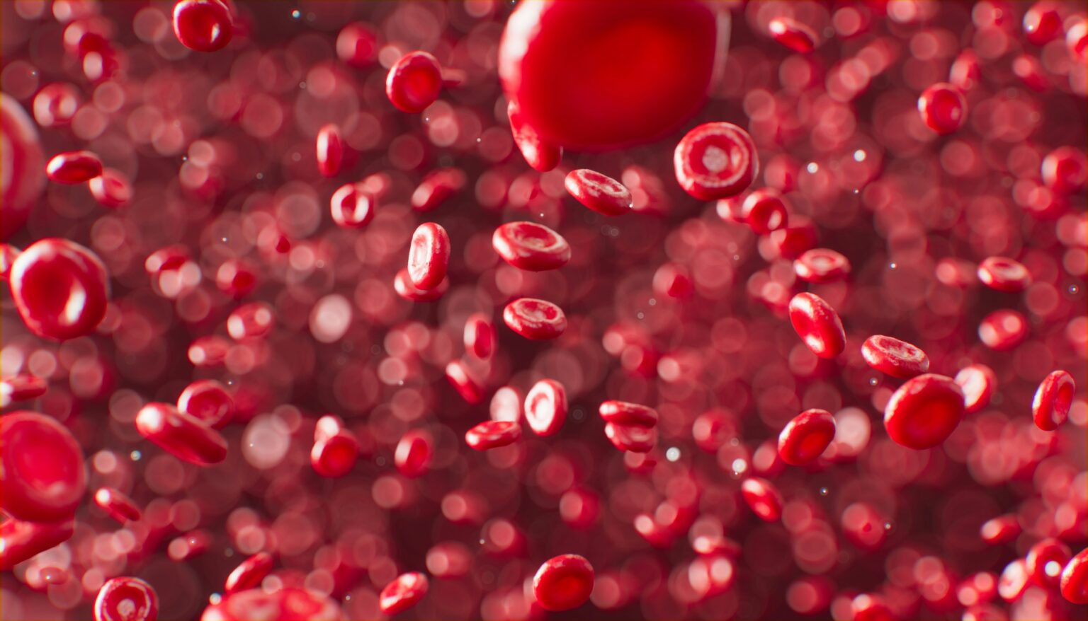 bone-marrow-what-is-anatomy-functions-diseases-and-medical-examinations-488306 bone-marrow-what-is-anatomy-functions-diseases-and-medical-examinations-488306