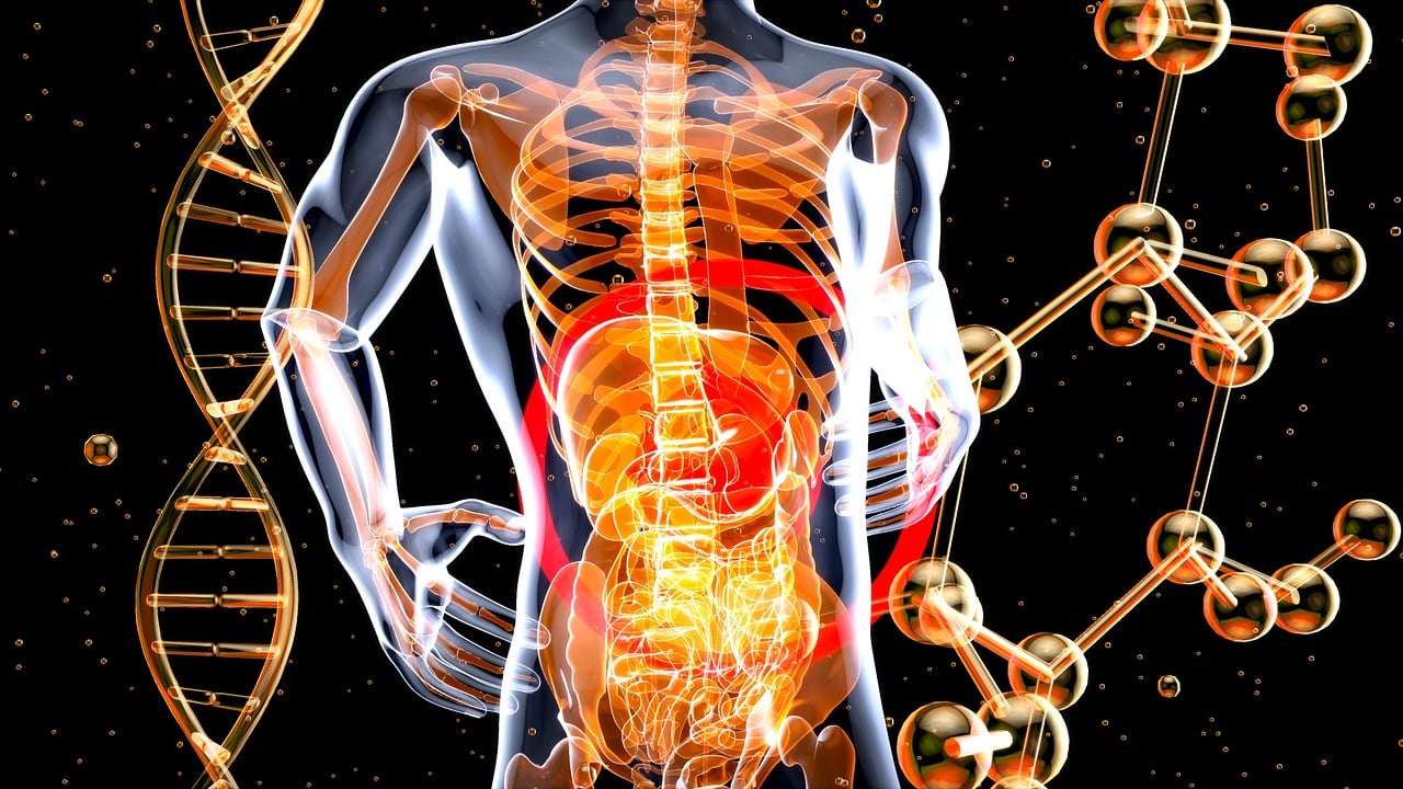 c-diff-what-is-spreading-symptoms-diagnosis-and-treatment-547283 c-diff-what-is-spreading-symptoms-diagnosis-and-treatment-547283