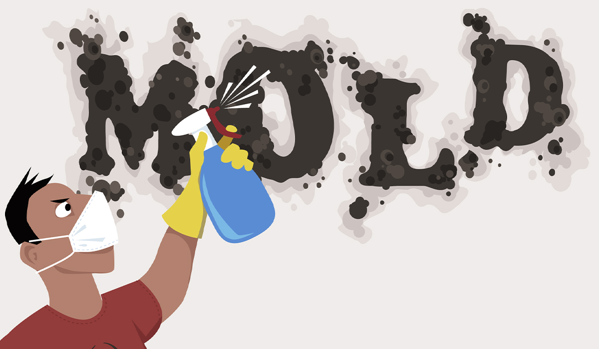 Black Mold
