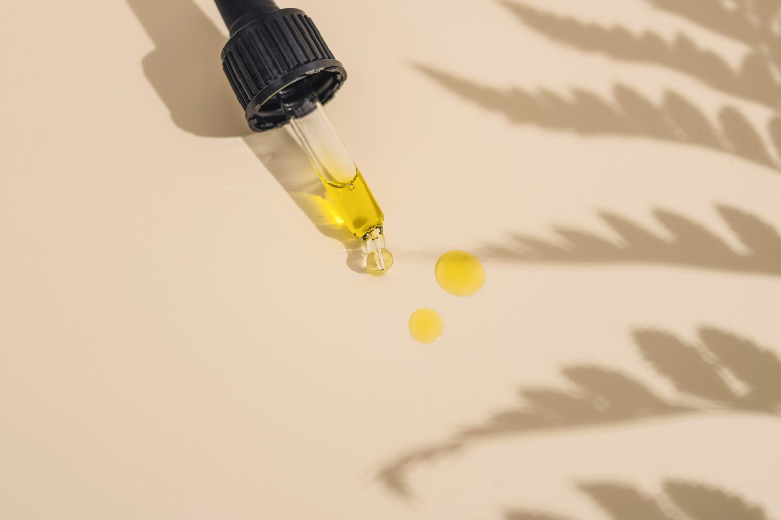 black-seed-oil-219254 black-seed-oil-219254