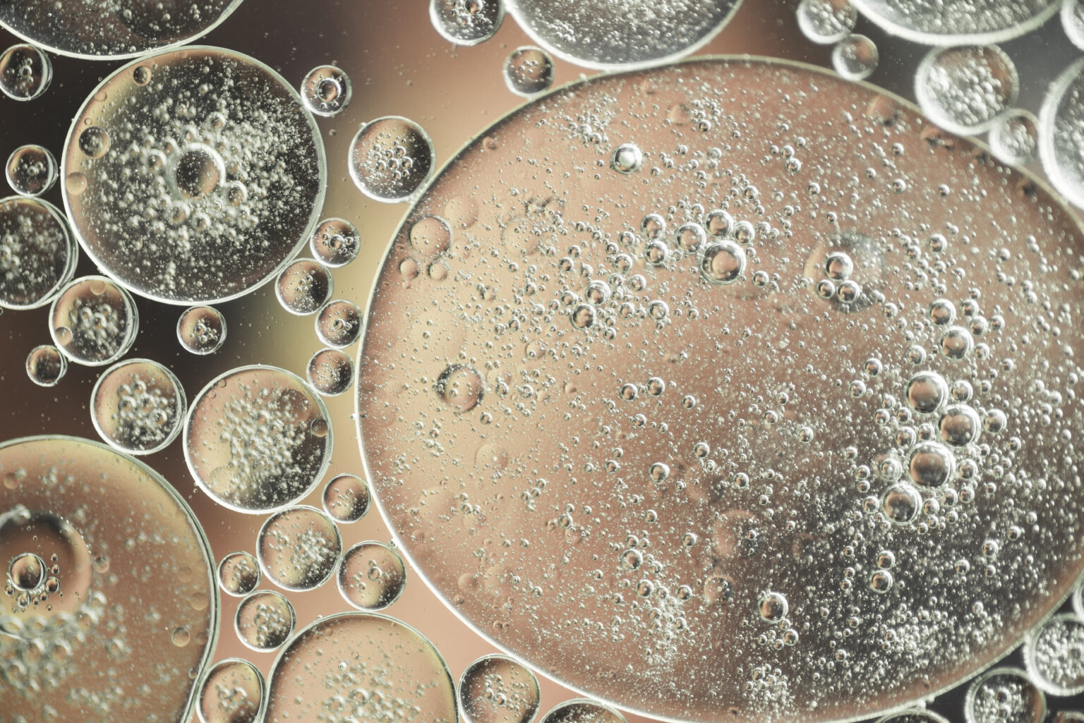 candida-what-is-health-problems-tests-666719 candida-what-is-health-problems-tests-666719