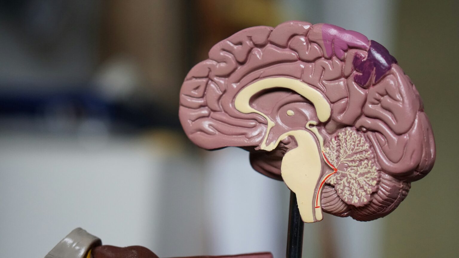endocrinologist-what-is-the-role-of-diseases-and-diagnostic-methods-936145 endocrinologist-what-is-the-role-of-diseases-and-diagnostic-methods-936145