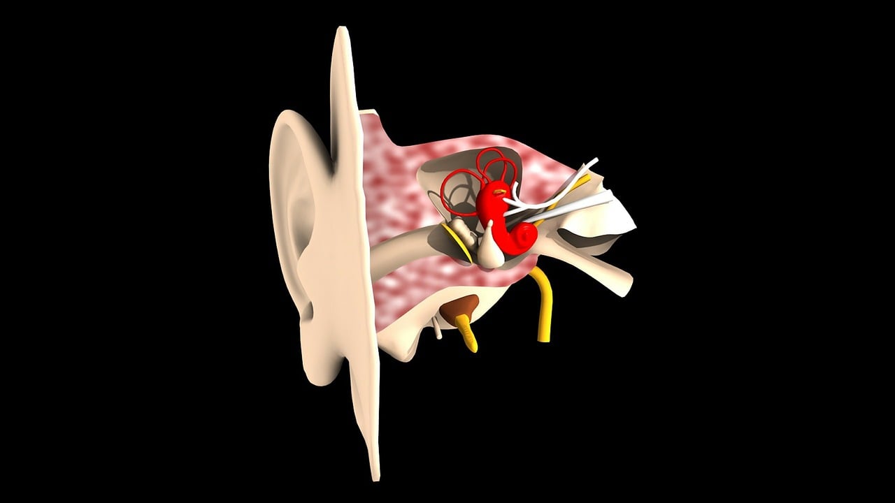 hearing-loss-what-is-types-causes-diagnosis-958874 hearing-loss-what-is-types-causes-diagnosis-958874