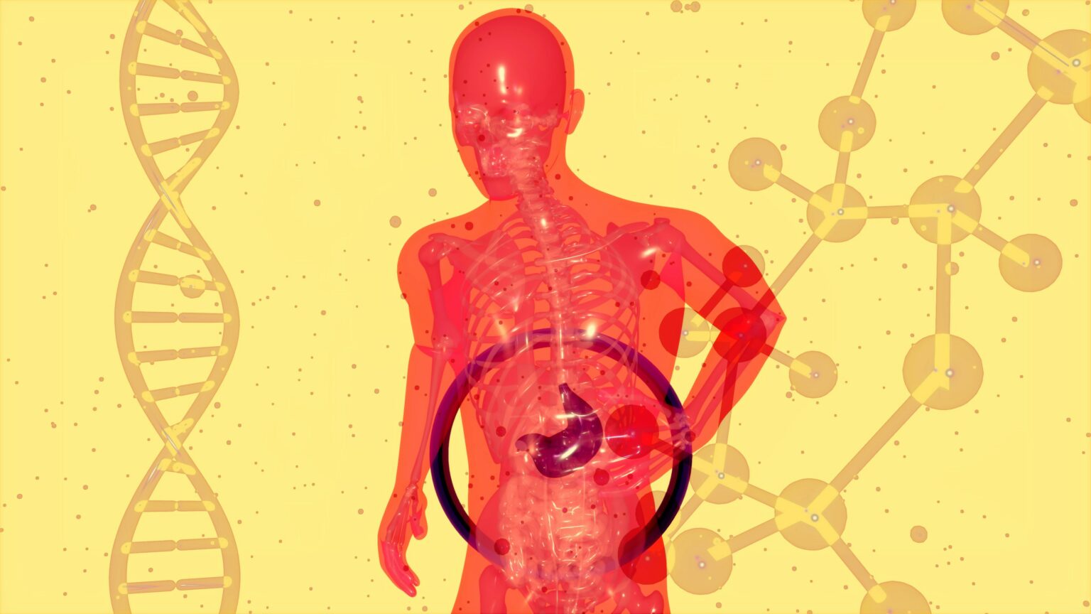 hepatitis-a-what-is-risk-symptoms-diagnosis-treatment-and-vaccination-951393 hepatitis-a-what-is-risk-symptoms-diagnosis-treatment-and-vaccination-951393