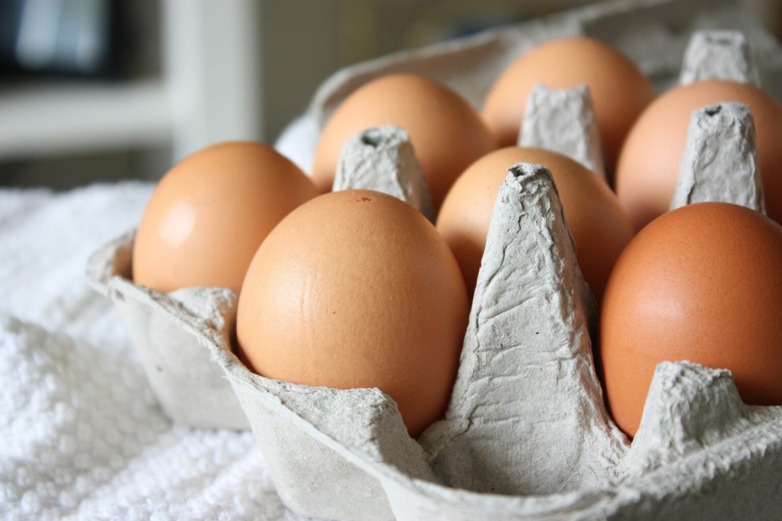 high-protein-foods-what-are-benefits-intake-and-examples-441761 high-protein-foods-what-are-benefits-intake-and-examples-441761