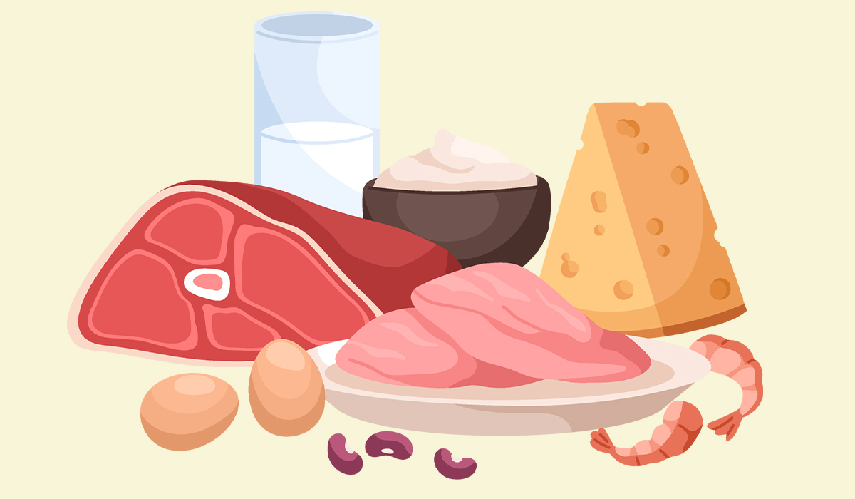 High-Protein Foods: What Are, Benefits, Intake, and Examples
