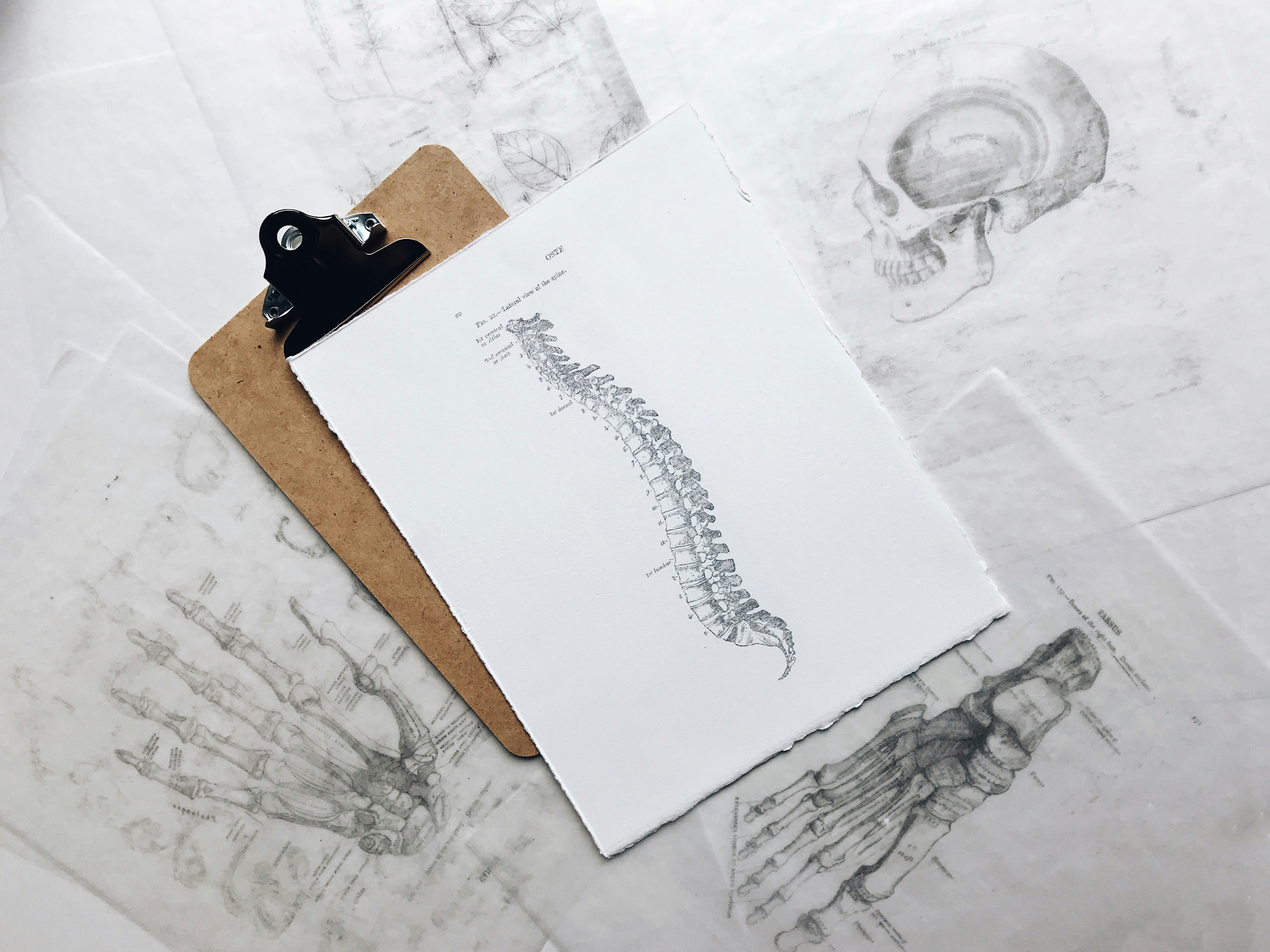 left-side-pain-what-is-causes-symptoms-and-treatment-773834 left-side-pain-what-is-causes-symptoms-and-treatment-773834