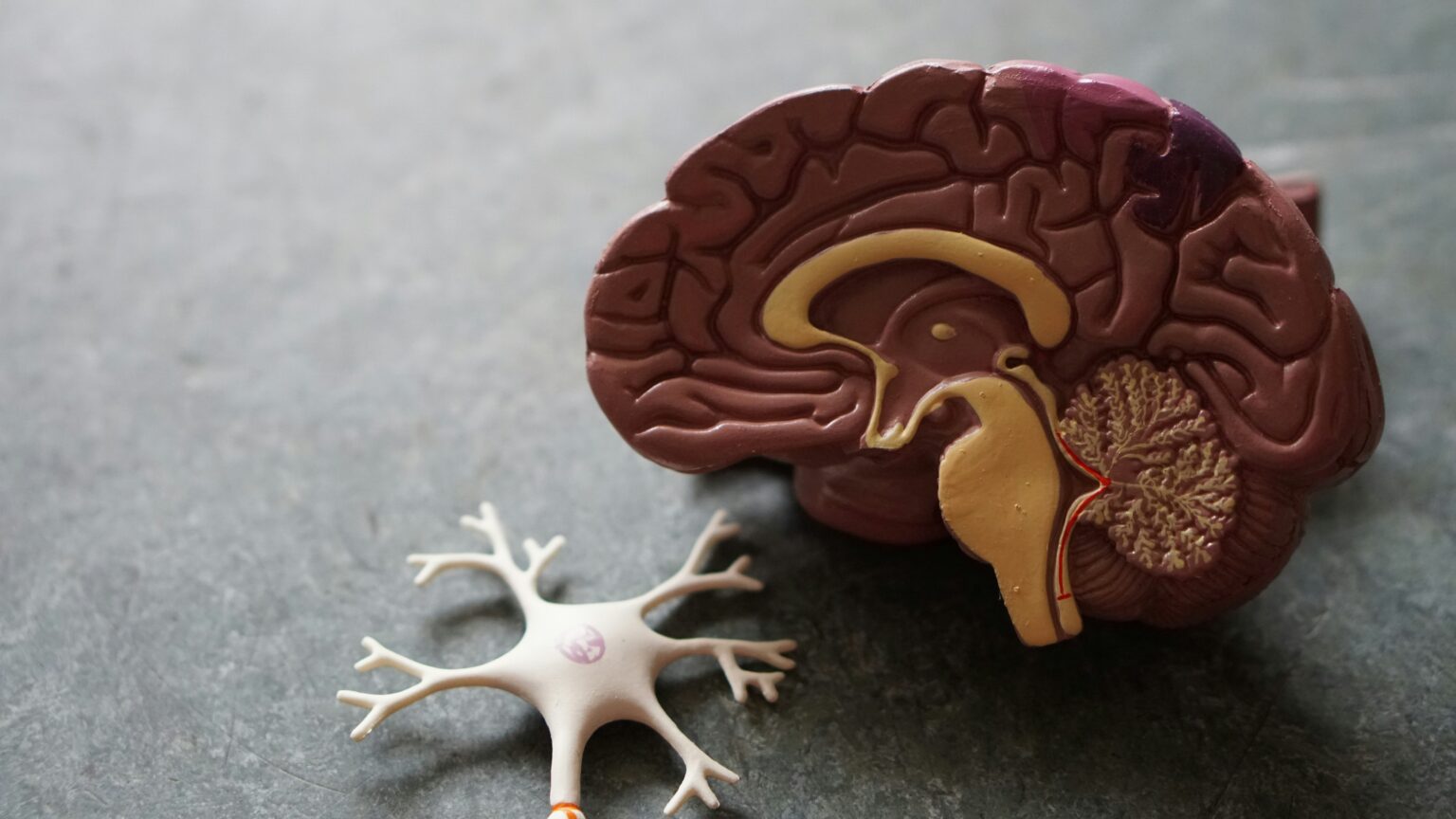 serotonin-syndrome-what-is-causes-symptoms-and-treatment-140681